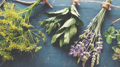 Assortment of dried herbs hanging upside down from thin rope